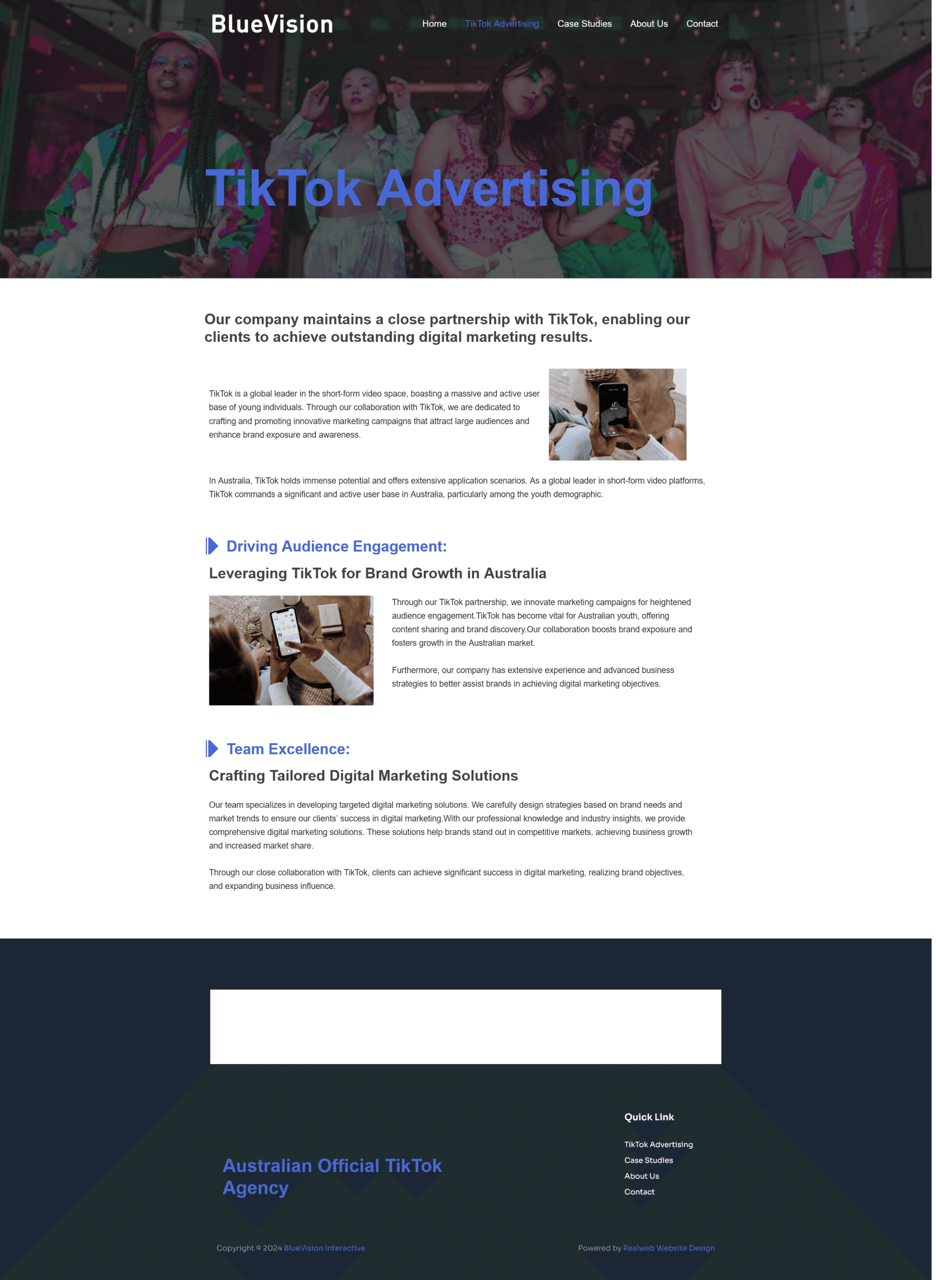 Blue vision, Professional Website Design Services in Sydney, Realweb Website Design, tiktok