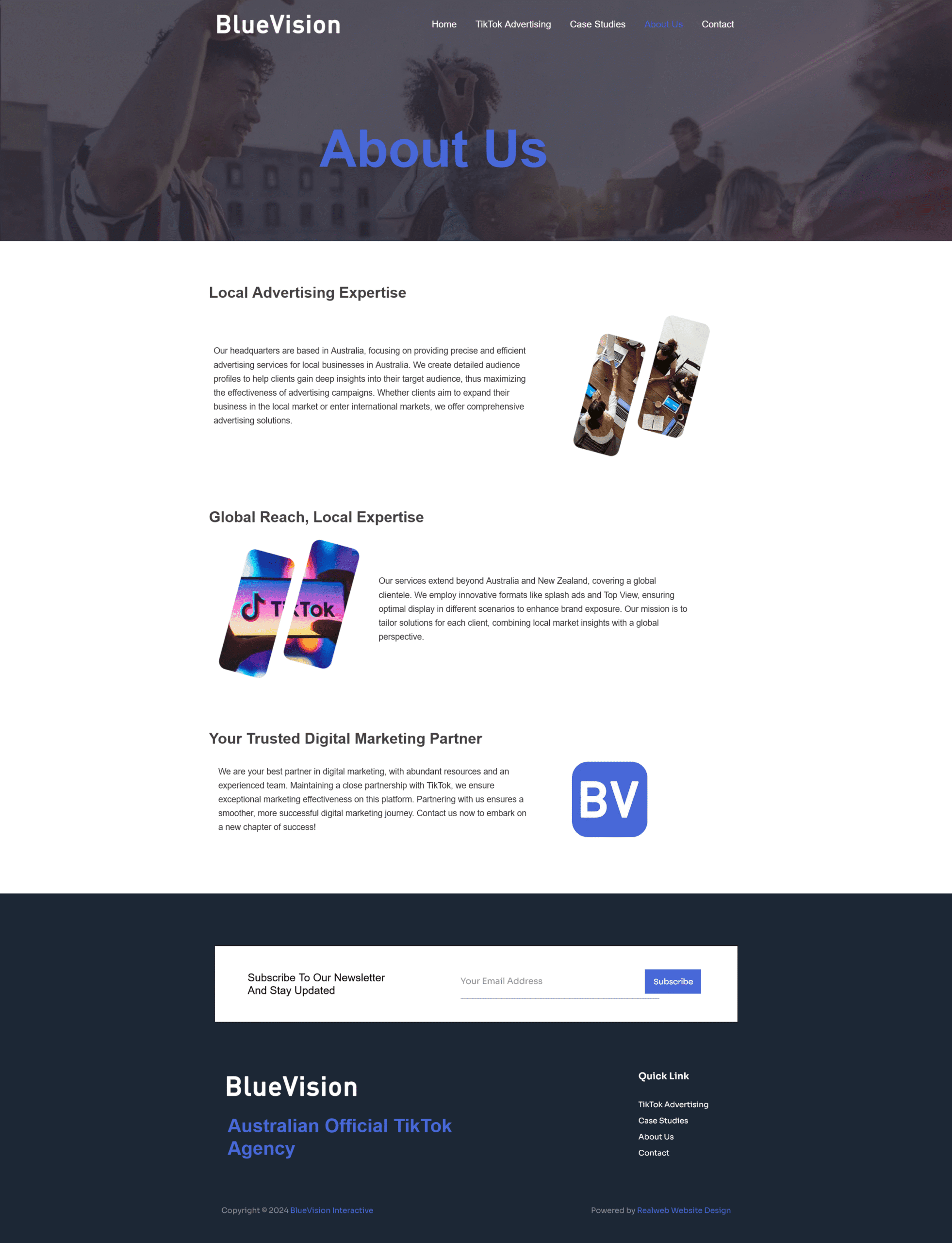 Blue vision, Professional Website Design Services in Sydney, Realweb Website Design, tiktok